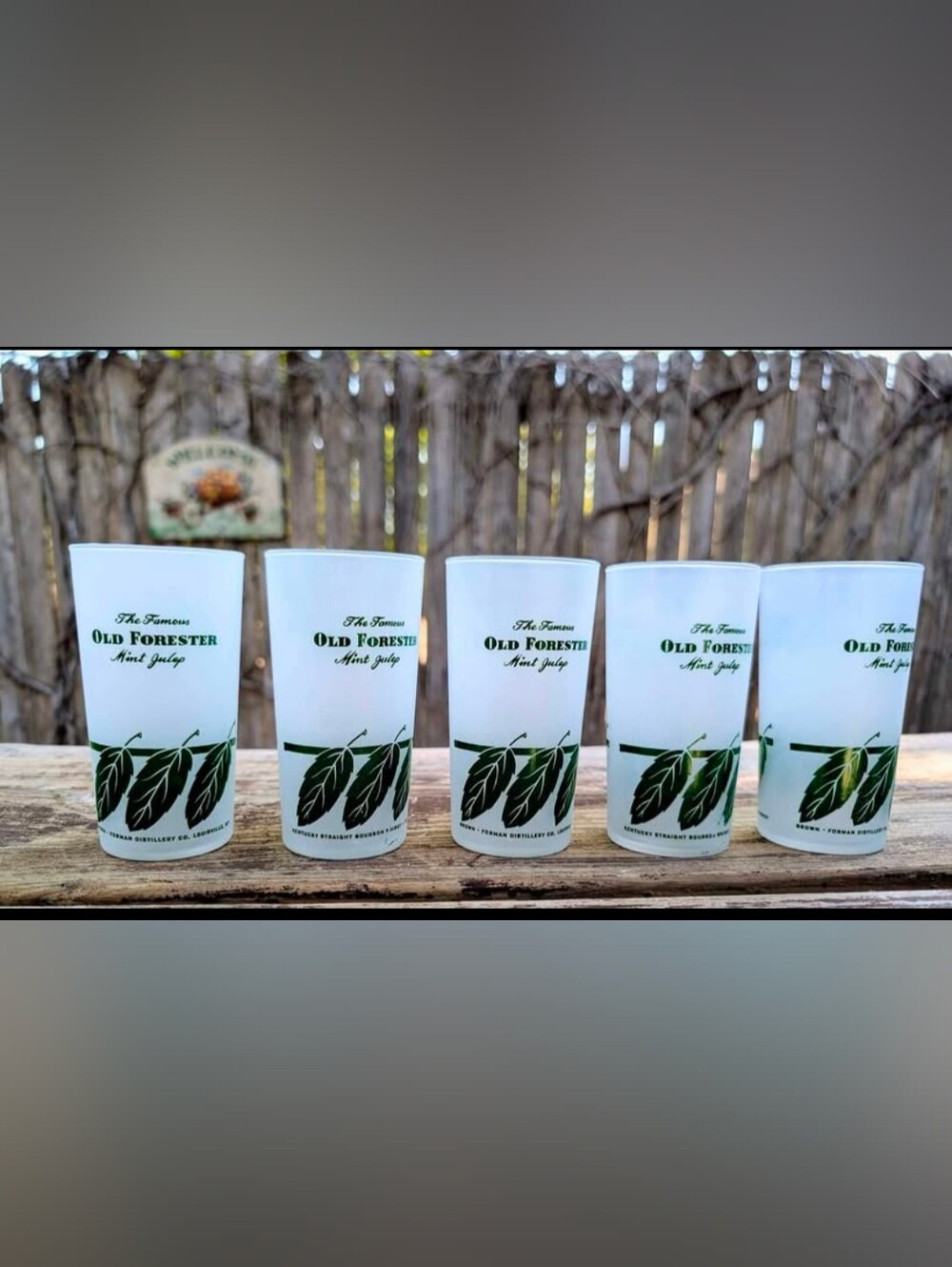 Vintage OLD FORESTER MINT JULEP FROSTED GLASSES Set of 5 - Kentucky Bourbon Ad